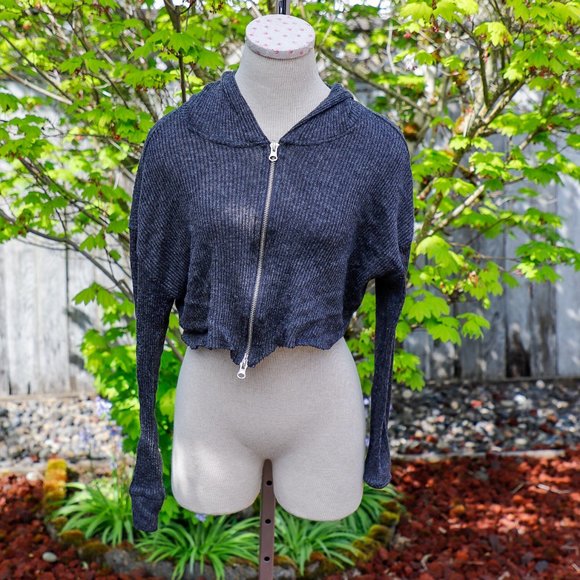 Pacsun cropped Hoodie - Picture 1 of 8